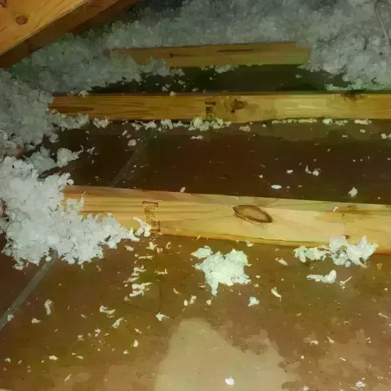 Attic Water Damage in Quitman County, MS